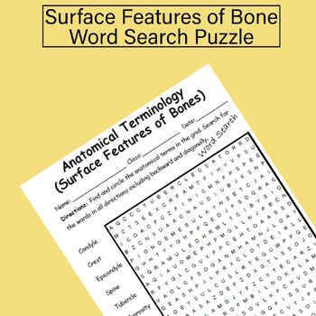 Basic Anatomical Terminology Word Search Puzzle Worksheet Tpt