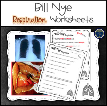 Bill Nye Respiration Worksheets By Love Duck Teachers Pay Teachers