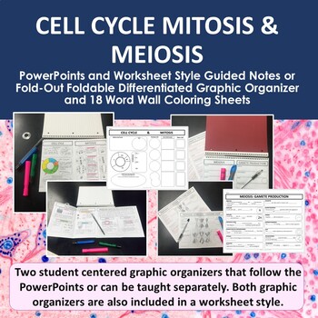Cell Cycle Mitosis Meiosis Powerpoints Graphic Organizers Word