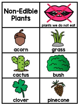 Edible V Non Edible Plant Plant Classification Sort By Teach Fun In First