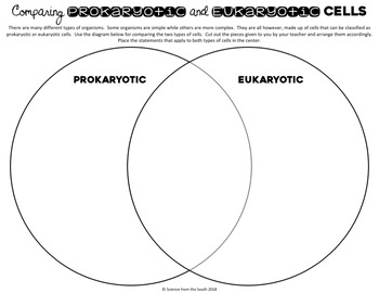 Eukaryote And Prokaryote Venn Diagram