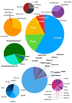 Life On Earth Biodiversity Pie Charts By Karen Backhouse TpT