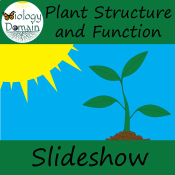 Plant Structure And Function Powerpoint Slideshow By Biology Domain