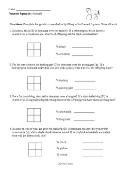 Punnett Squares Worksheets And Practice By Dr Dave S Science TpT