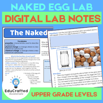The Naked Egg Chemical Reaction Digital Lab By Mrs Liechti TPT