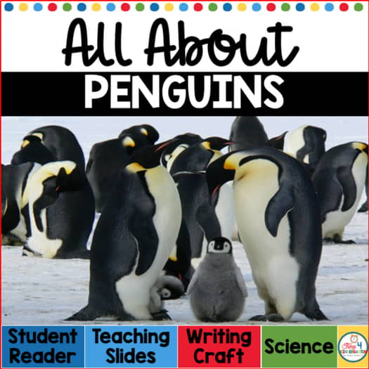 All About Penguins