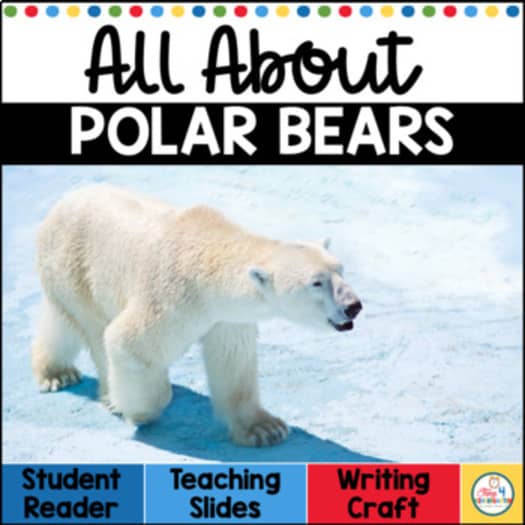 polar bear animal activities for kindergarten and first grade