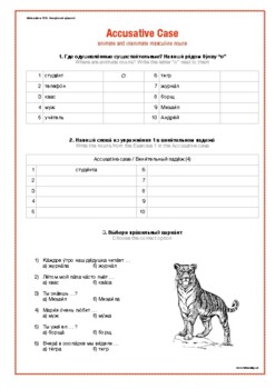 Preview of Винительный падеж (4 листа А1) / Accusative case (4 worksheets A1)