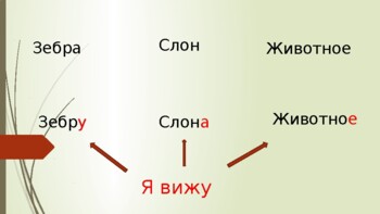 Preview of Животные. Винительный падеж. Пособие для детей, изучаюших рки и эритажников