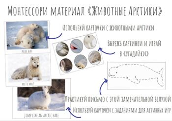 Preview of Монтессори материал "Арктические животые"
