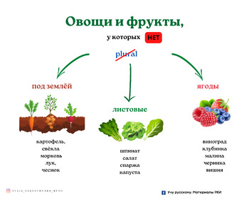 Preview of Овощи и фрукты singularia tantum. Плакат (РКИ, А1 - А2)