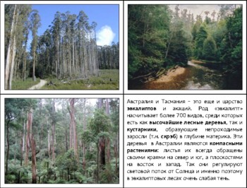 Preview of Растительный мир Австралии. Окружающий мир. Развитие русской речи.