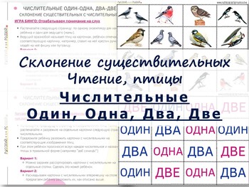 Preview of Числительные ОДИН ОДНА ДВА ДВЕ. Склонение сущ. Чтение. Птицы. Русский - Russian.