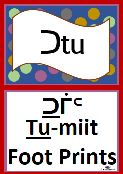 Preview of ᐃᓅᔨᖓᔪᑦ - Roman Orthography Posters
