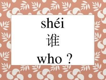 Preview of 疑问词Question Words {Posters for Reading & Asking Questions}