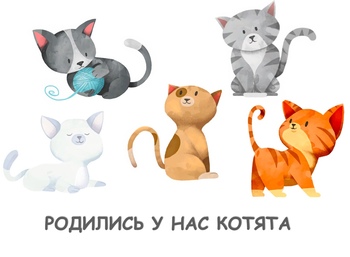 Preview of "Котята" - Сергей Михалков - художественная презентация