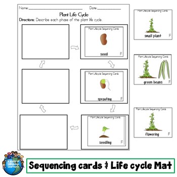 Plant Life Cycle Writing Activities by A World of Language Learners