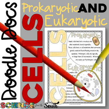 Preview of Prokaryotic and Eukaryotic Cells Doodle Docs