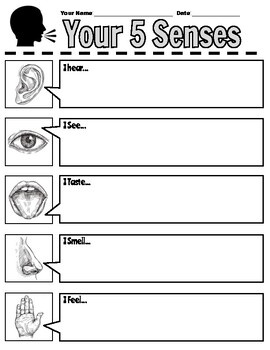 $1 Five Senses Graphic Organizer + Bonus Icons! by Dollar For You