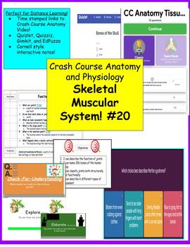 Preview of #20 The Skeletal System: Crash Course Notes, Quizlets, Gimkits, and Edpuzzles!