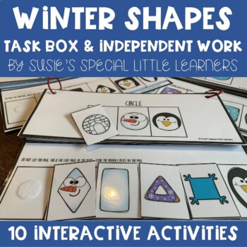 Preview of WINTER SHAPE TASK BOX SORTING FOR EARLY CHILDHOOD SPECIAL EDUCATION