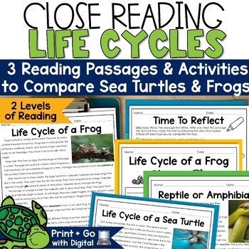 Preview of $2DEAL Life Cycle of a Sea Turtle Frog Life Cycles Compare and Contrast Reading