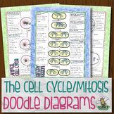 Prokaryotic and Eukaryotic Cell Cycle DD