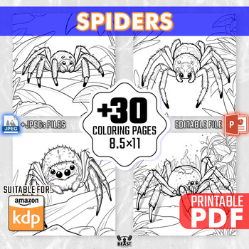 Preview of +30 Spiders Coloring Pages for Kids Adult Insects Coloring Book