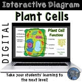 Plant Cell Function Digital Interactive Diagram
