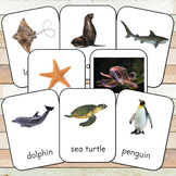 Montessori Ocean Toob 3 Part Cards (editable)