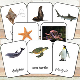 Montessori Ocean Toob 3 Part Cards