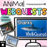 Animal Themed Internet Research Scavenger Hunts | WebQuests