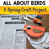 All About Birds Craft Life Cycle of a Robin Unit Spring Wr
