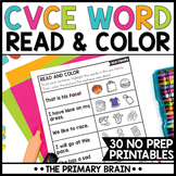 CVCE Words Fluency Sentence Practice | Read & Color Phonic
