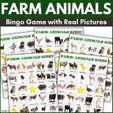 Farm Animals Bingo Game Real Pictures Special Ed Kindergar