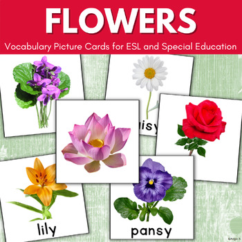 Flowers Vocabulary Flashcards for Speech Therapy and ESL by Angie S