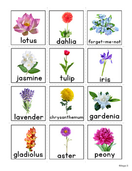 Flowers Vocabulary Cards for Special Education | Autism Visuals | TPT