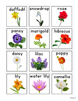 Flowers Vocabulary Cards for Special Education | Autism Visuals | TPT