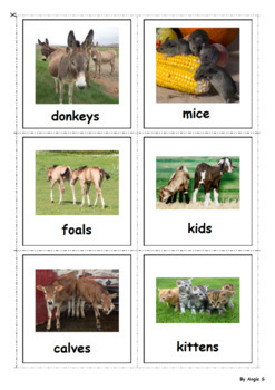 Plurals - Farm Animals and Their Babies, Plural Nouns | TPT
