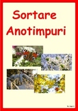 Sortare Anotimpuri- Seasons Sorting Activity (Romanian)