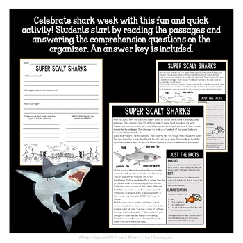 All About Sharks Craft Project and Activity Pack by Heart 2 Heart Teaching