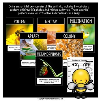 Bees and Pollination Activity Pack and Life Cycle of a Bee with Fun Bee