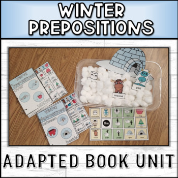 Preview of Winter Prepositions Adapted Book Unit