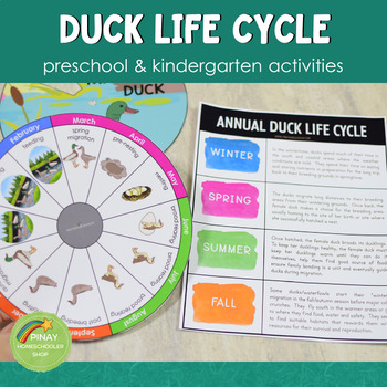 Duck Life Cycle Activity Set by Pinay Homeschooler Shop | TpT