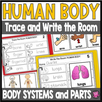 Preview of Body Parts and Systems Worksheets & Activities Kindergarten & 1st Grade 