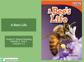 Preview of "A Bee's Life" Google Slides- Bookworms Supplement