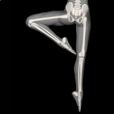 "A Dancer's Body" Lesson 1: Anatomy (Bones)  + Quiz