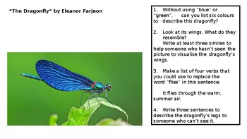 Preview of "A Dragonfly" Eleanor Farejon, writing, reading, crr, cover, homework