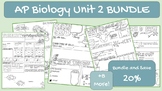 *AP Biology* Unit 2 Sketch Note Bundle
