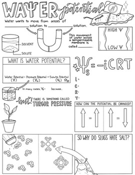 Properties of Water Doodle Notes  Science Doodle Notes  Doodle notes  Doodle notes science Middle school science teacher